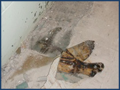 asbestos removal services wisconsin