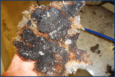burnt lint dryer vent cleaning wisconsin