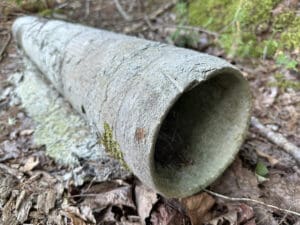 Close-up of a weathered, hollow tree trunk resembling an ancient asbestos pipe lying on the ground in a forest. The surface is textured with patches of moss, surrounded by fallen leaves and forest debris.