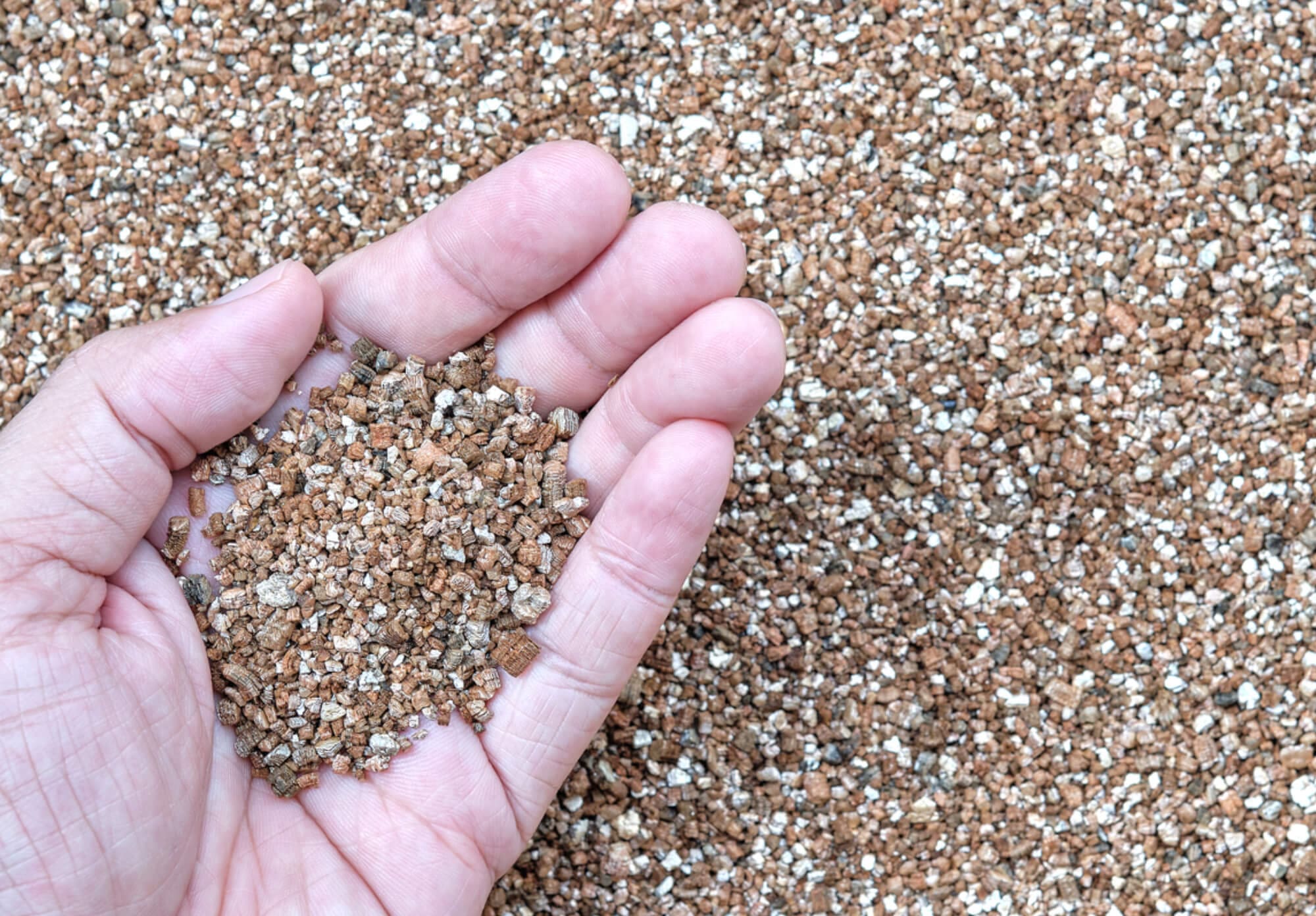 A hand holding a handful of small, coarse, brown granules of vermiculite, with more scattered in the background. Given vermiculite's association with asbestos, safety precautions are essential for handling and removal to ensure safe asbestos abatement practices.