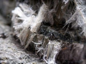 Close-up of fibrous white asbestos crystals emerging from a gray rocky surface, showcasing intricate, hair-like structures. The texture contrasts sharply with the roughness of the rock beneath, illustrating the necessity for careful vermiculite removal to ensure safety.