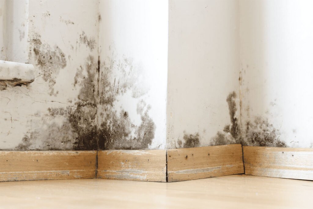 Reducing Mold in the Workplace